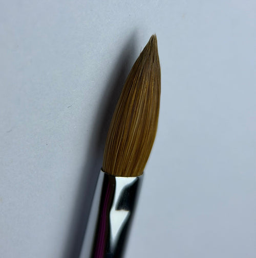 Pennello Acrygel 8