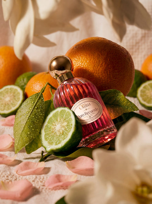 Oliluu – PURO RECUERDO Extrait de Parfum 100ml -Her
